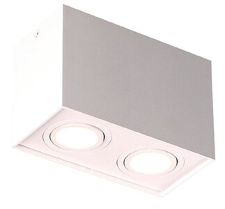 MAXLIGHT C0088 Plafondlamp BASIC SQUARE Wit Dubbel