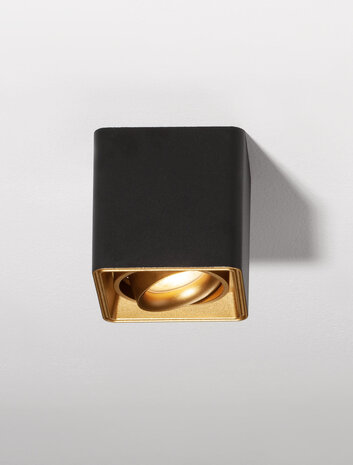 Opbouwspot Nami Zwart/Goud