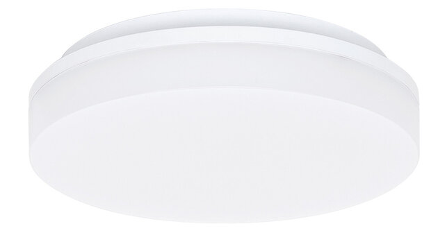 Plafondlamp Basic 22cm Wit
