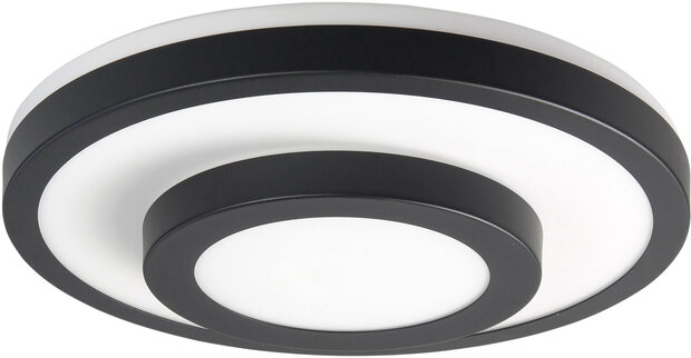 Plafondlamp Master L Zwart