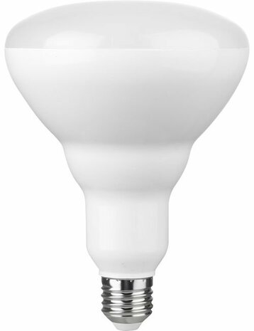 LED E27 R120x170 230V 1300Lm 14W 827 110° AC Dim