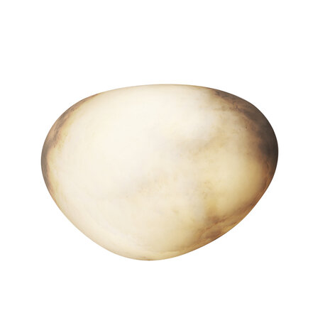 MAXLIGHT W0396 Wandlamp NUVIA 7W