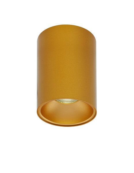 Opbouwspot Nido Rond Goud