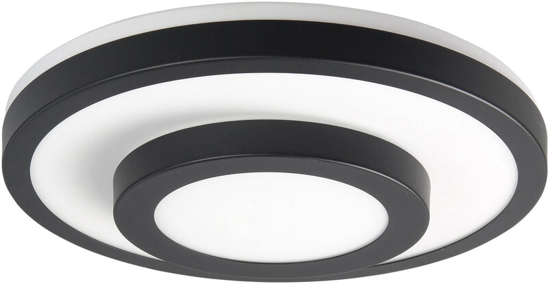 Plafondlamp Master L Zwart