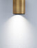 Opbouwspot Inus Zwart/Goud