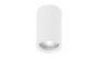 Opbouwspot Marupe 10cm GU10 Wit