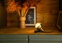 Tafellamp/Wandlamp Drop Zwart/Messing