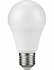 Verhuispakket Cadeau: 10x Verhuisfitting + Ledlamp + Kortingscodes