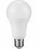 LED E27 GLS A71x135 100-240V 1200Lm 15W 830 160° AC/DC Opal Non-Dim
