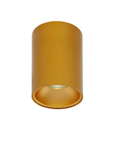 Opbouwspot Nido Rond Goud Opbouwspot Nido Rond Goud