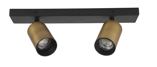 Opbouwspot Inus Duo Zwart/Goud Opbouwspot Inus Duo Zwart/Goud