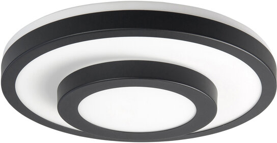 Plafondlamp Master L Zwart