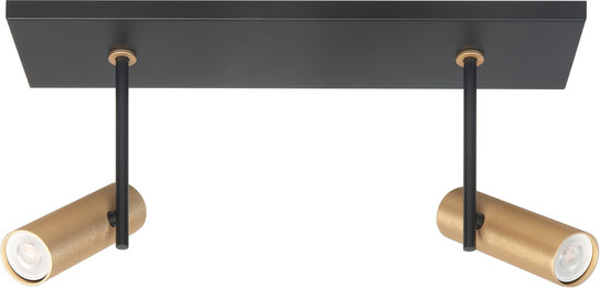 Opbouwspot Trend 2 Recht Zwart/Goud