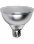 LED E27 IP65 PAR30 Zilver 10,5 Watt 633L Dimbaar