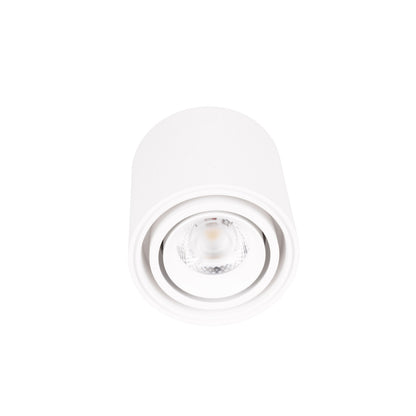 Maxlight C0256 Plafondlamp Fix 6W Wit Ip44