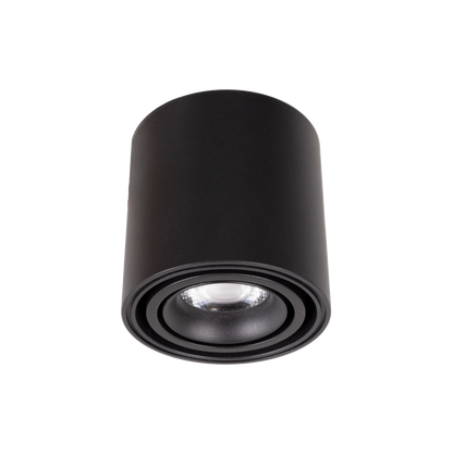 Maxlight C0257 Plafondlamp Fix 6W Zwart Ip44
