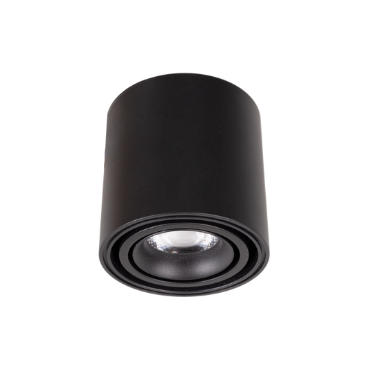 Maxlight C0257 Plafondlamp Fix 6W Zwart Ip44