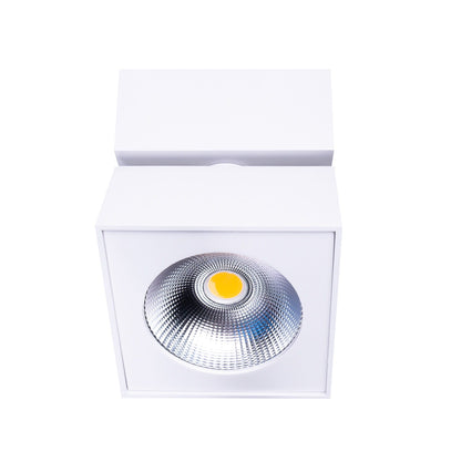 Maxlight C0106 Plafondlamp Artu