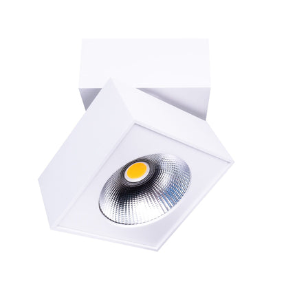 Maxlight C0106 Plafondlamp Artu
